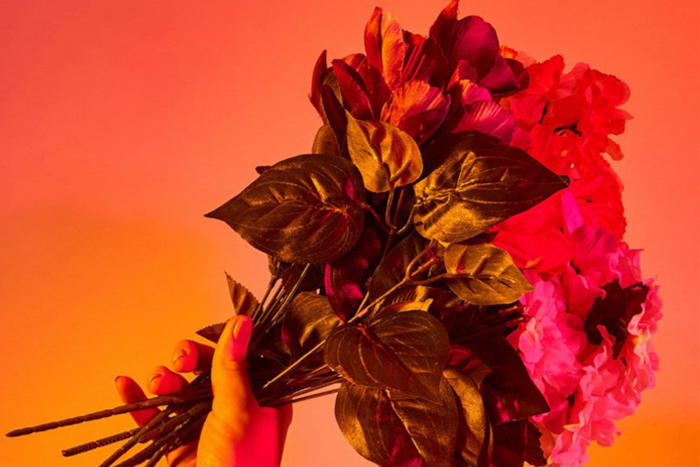7 Brand Loyalty Drivers: What Makes the Loyalty Community Brand Loyal?