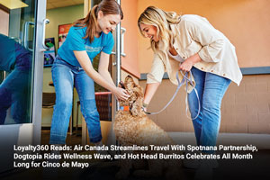 Dogtopia Rides Wellness Wave