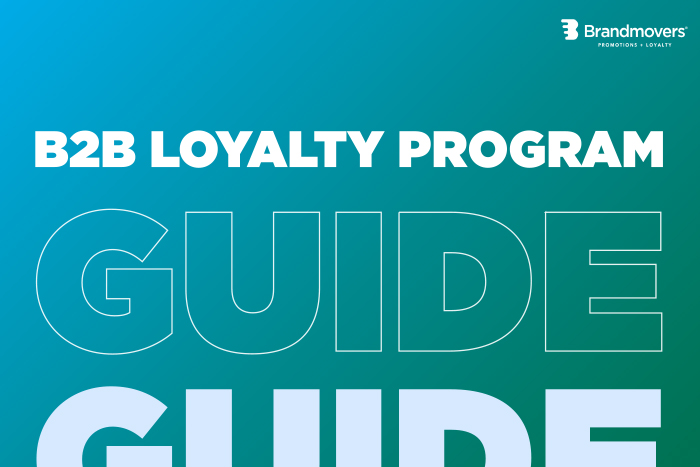The Strategic Guide To Starting A B2B Loyalty Program