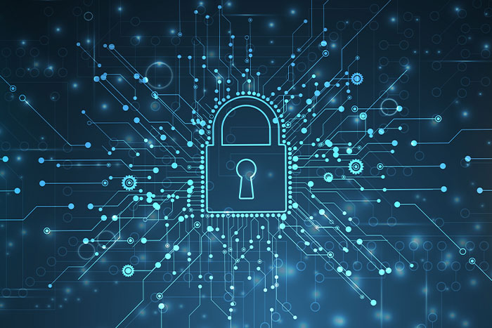 Privacy-First Loyalty: Strategies for Building Data Compliance and Customer Trust