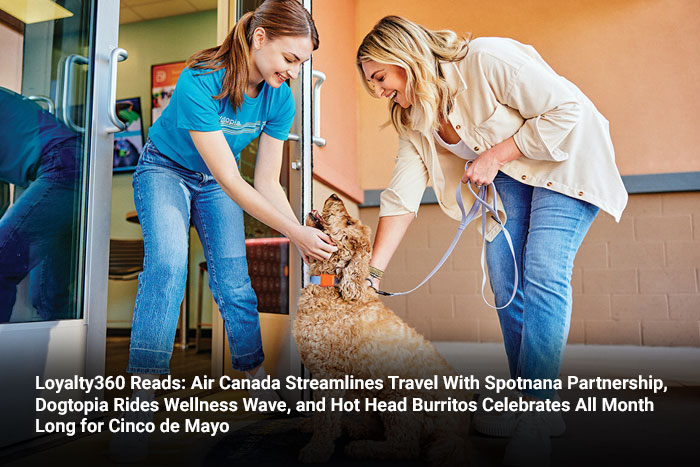 Dogtopia Rides Wellness Wave