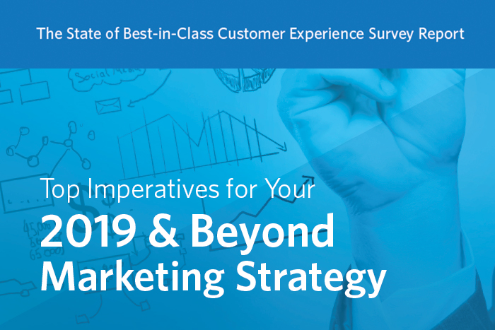 The State of Best-in-Class Customer Experience Survey Report: Top Imperatives for Your 2019 & Beyond