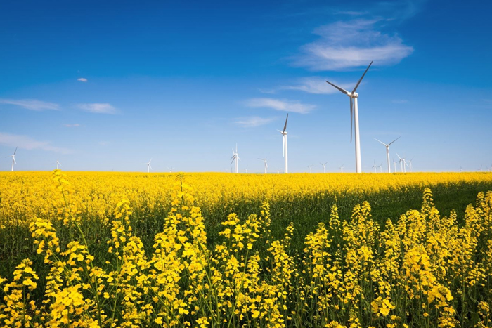 Loyalty360 Reads: July 15: Meijer’s Carbon Emissions Goal, e.l.f. Cosmetics Target Gamers, and More