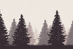 Loyalty360 Article